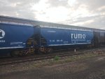 RUMO HTT-065735-2